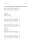 DETECTION, IDENTIFICATION AND DIFFERENTIATION OF PROTEUS SPECIES USING THE     SPACER REGION diagram and image