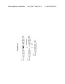 RAPID SCREENING OF BIOLOGICALLY ACTIVE NUCLEASES AND ISOLATION OF     NUCLEASE-MODIFIED CELLS diagram and image