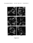 Assay for Identification of LRRK2 Inhibitors diagram and image