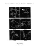 Assay for Identification of LRRK2 Inhibitors diagram and image