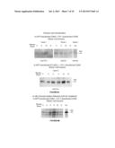 METHODS AND COMPOSITIONS FOR TREATING NEURODEGENERATIVE DISORDERS AND     ALZHEIMER S DISEASE AND IMPROVING NORMAL MEMORY diagram and image