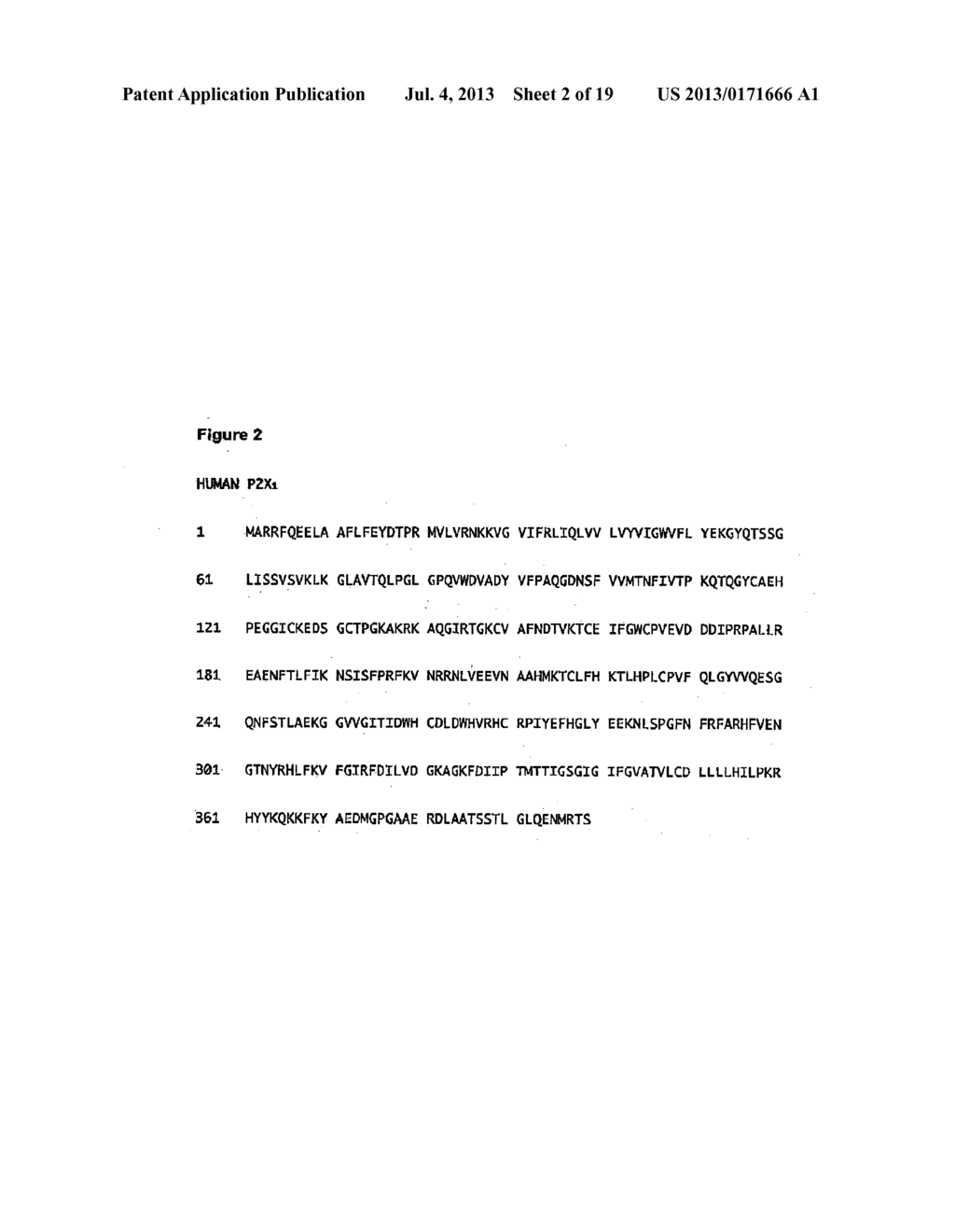 Purinergic (P2X) Receptors in Extra-Cellular Body Fluid - diagram, schematic, and image 03