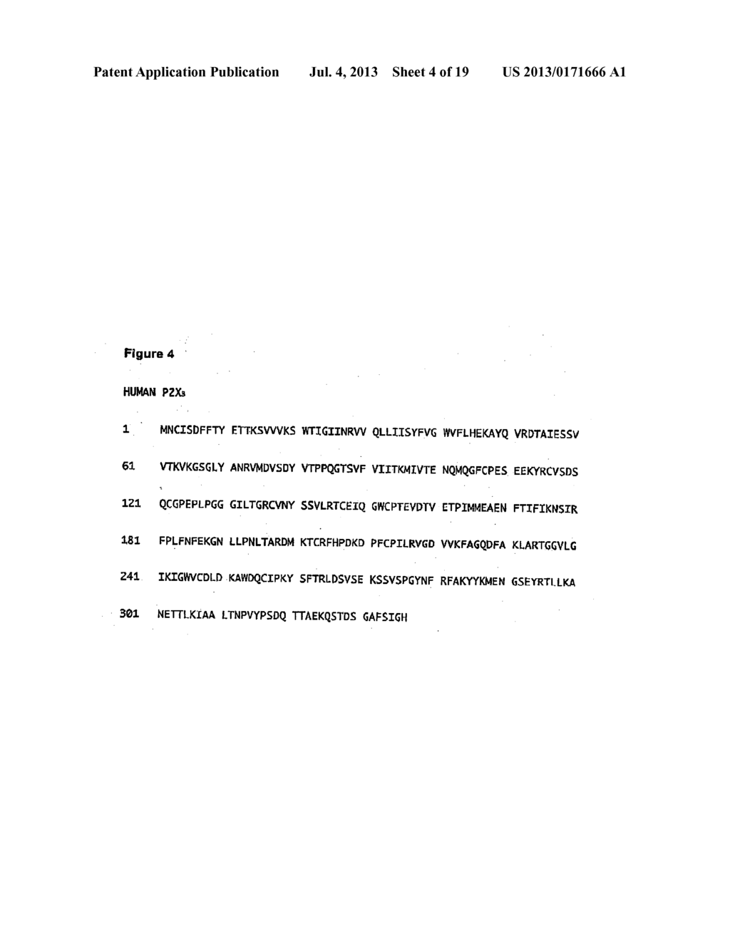 Purinergic (P2X) Receptors in Extra-Cellular Body Fluid - diagram, schematic, and image 05