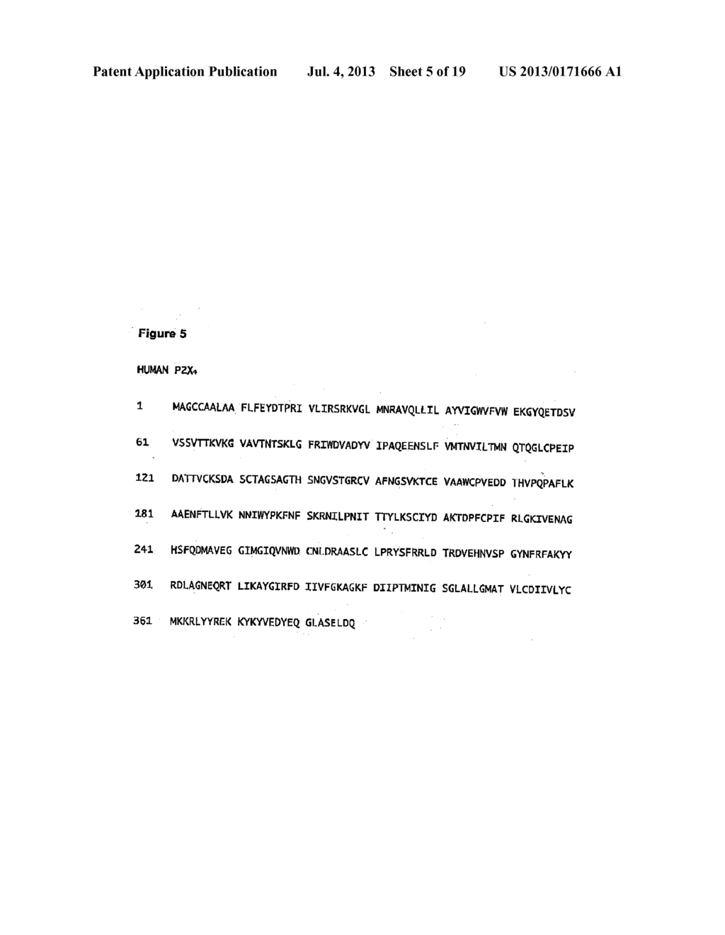 Purinergic (P2X) Receptors in Extra-Cellular Body Fluid - diagram, schematic, and image 06