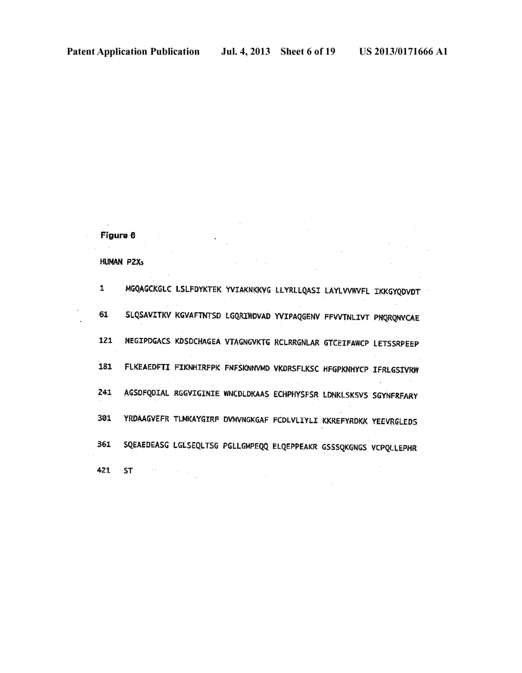 Purinergic (P2X) Receptors in Extra-Cellular Body Fluid - diagram, schematic, and image 07