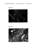 Purinergic (P2X) Receptors in Extra-Cellular Body Fluid diagram and image