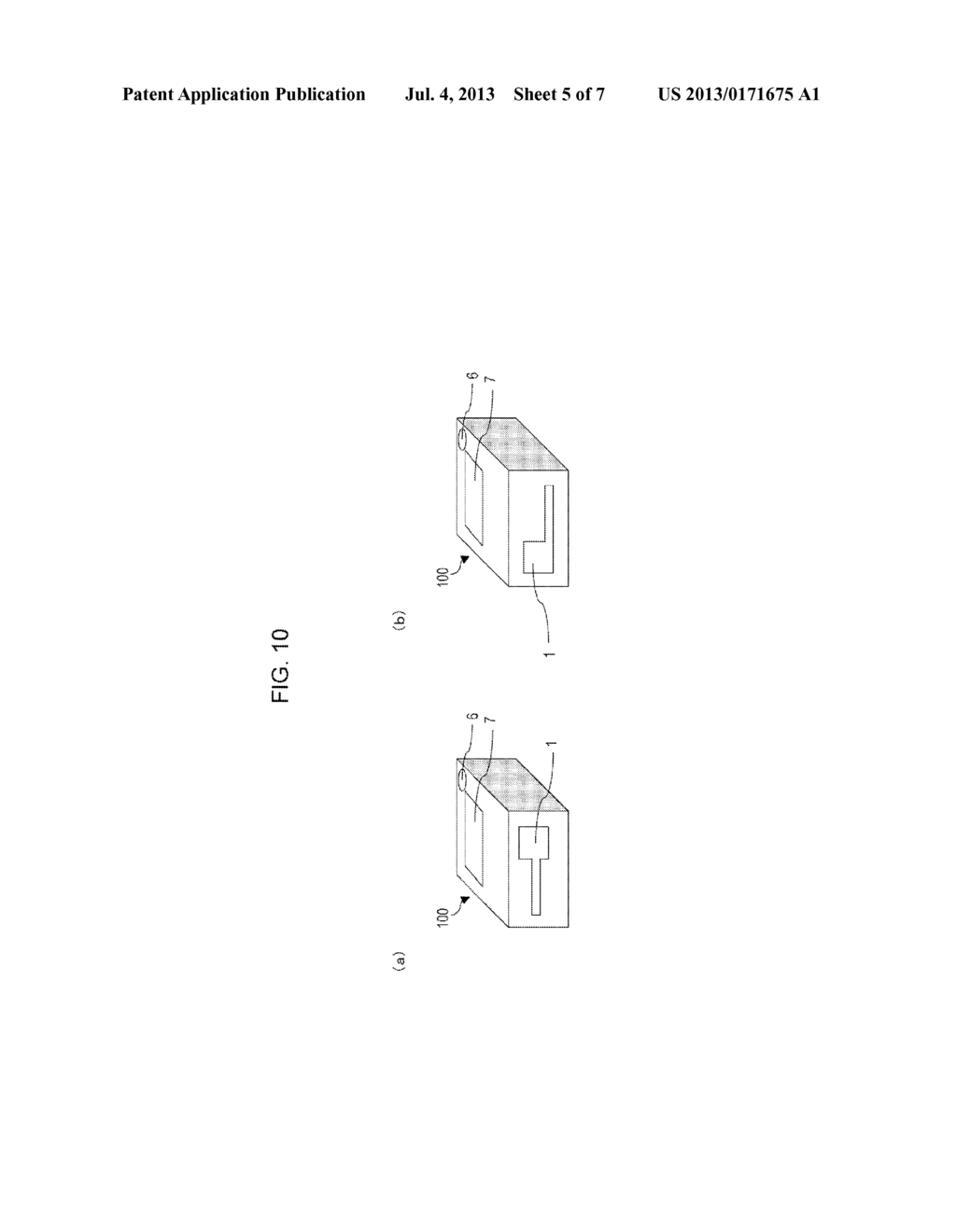 MEASURING DEVICE AND MEASURING METHOD - diagram, schematic, and image 06