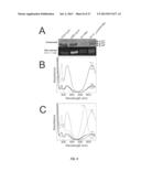 RECOMBINANT PHYCOBILIPROTEINS WITH ENHANCED FLUORESCENCE AND PHOTOCHEMICAL     PROPERTIES diagram and image