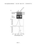 RECOMBINANT PHYCOBILIPROTEINS WITH ENHANCED FLUORESCENCE AND PHOTOCHEMICAL     PROPERTIES diagram and image