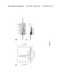 RECOMBINANT PHYCOBILIPROTEINS WITH ENHANCED FLUORESCENCE AND PHOTOCHEMICAL     PROPERTIES diagram and image