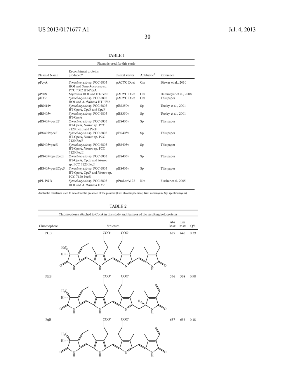 RECOMBINANT PHYCOBILIPROTEINS WITH ENHANCED FLUORESCENCE AND PHOTOCHEMICAL     PROPERTIES - diagram, schematic, and image 58