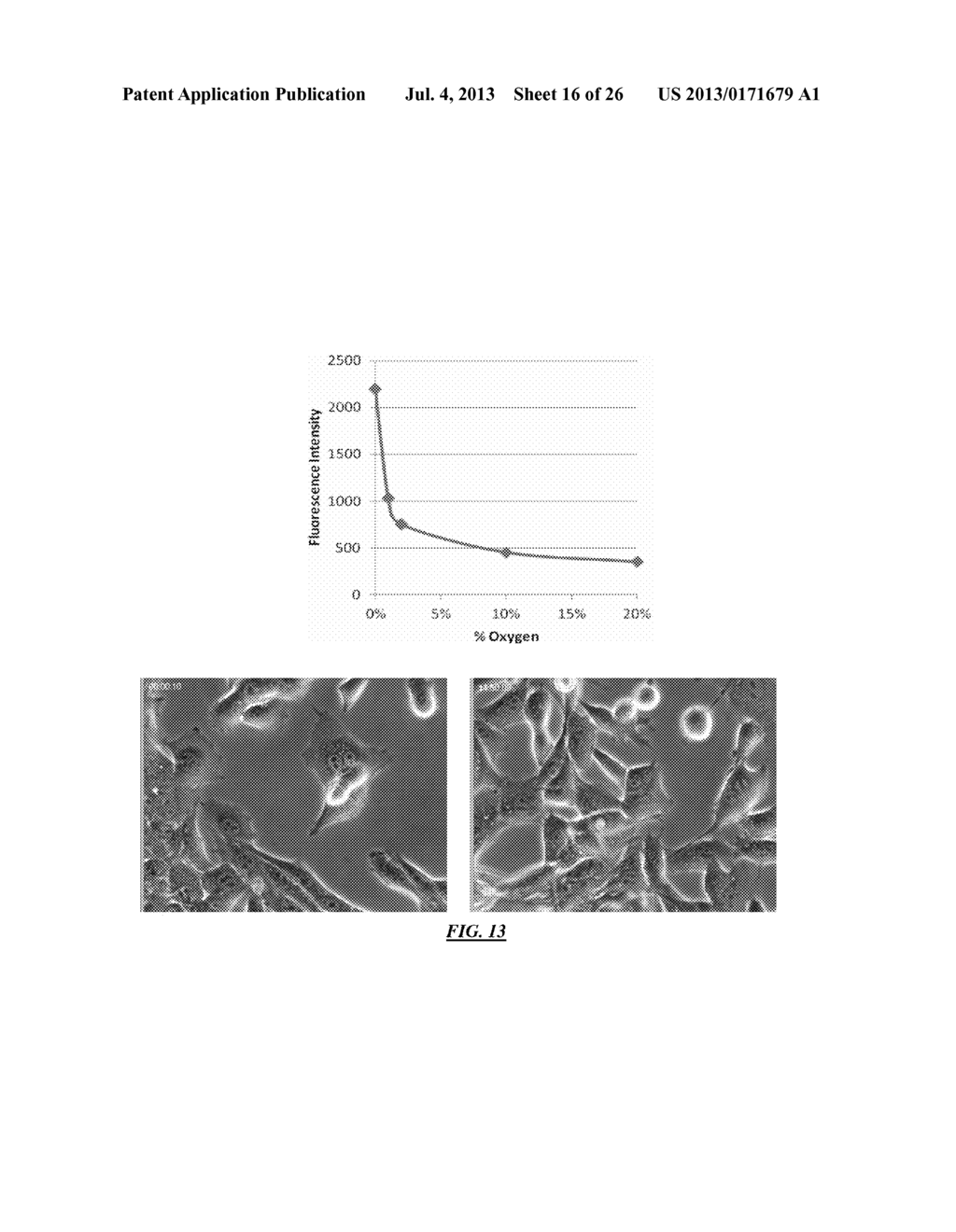 Micro-Incubation Systems for Microfluidic Cell Culture and Methods - diagram, schematic, and image 17