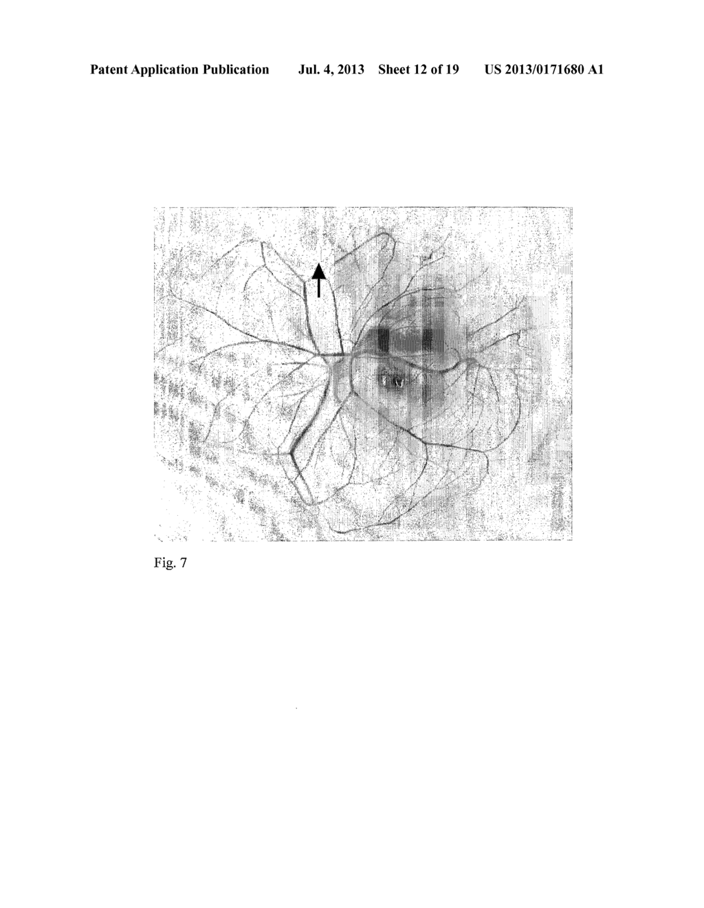 CHIMERIC AVIAN-BASED SCREENING SYSTEM CONTAINING MAMMALIAN GRAFTS - diagram, schematic, and image 13