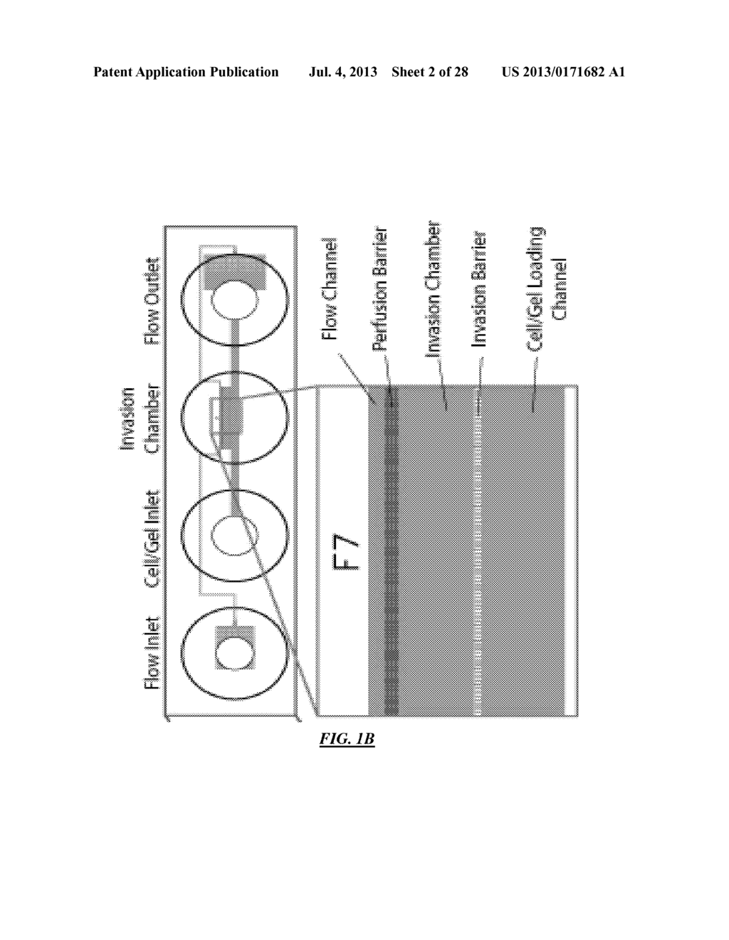 Cell Culture and Gradient Migration Assay Methods and Devices - diagram, schematic, and image 03