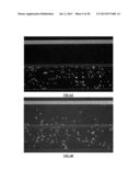 Cell Culture and Gradient Migration Assay Methods and Devices diagram and image