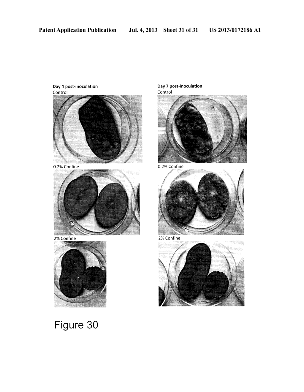 PROTEINS RELATED TO THE SUPPRESSION OF  PHYTOPHTHORA INFECTIONS IN MEMBERS     OF THE SOLANACEAE FAMILY - diagram, schematic, and image 32