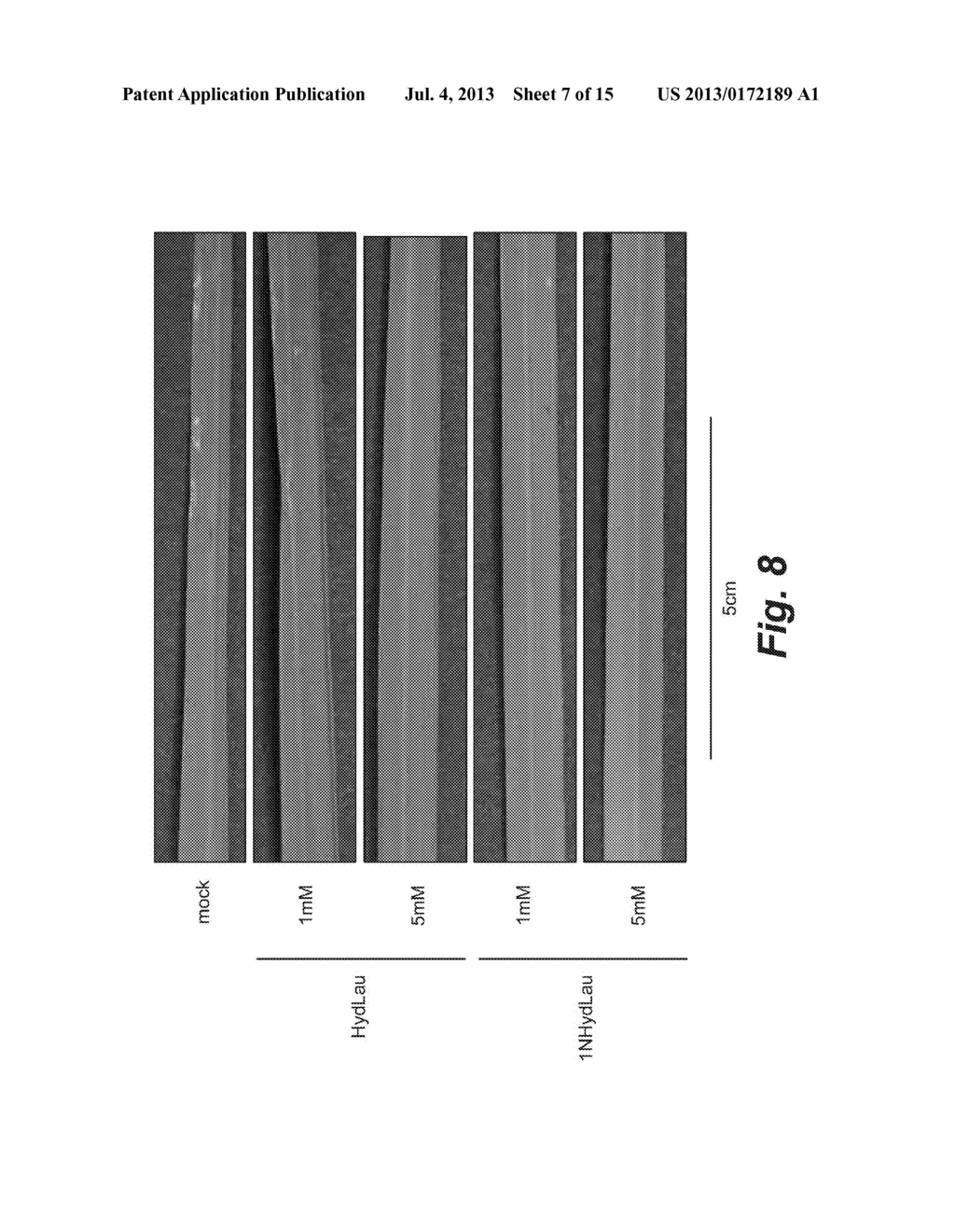 PLANT ACTIVATOR - diagram, schematic, and image 08