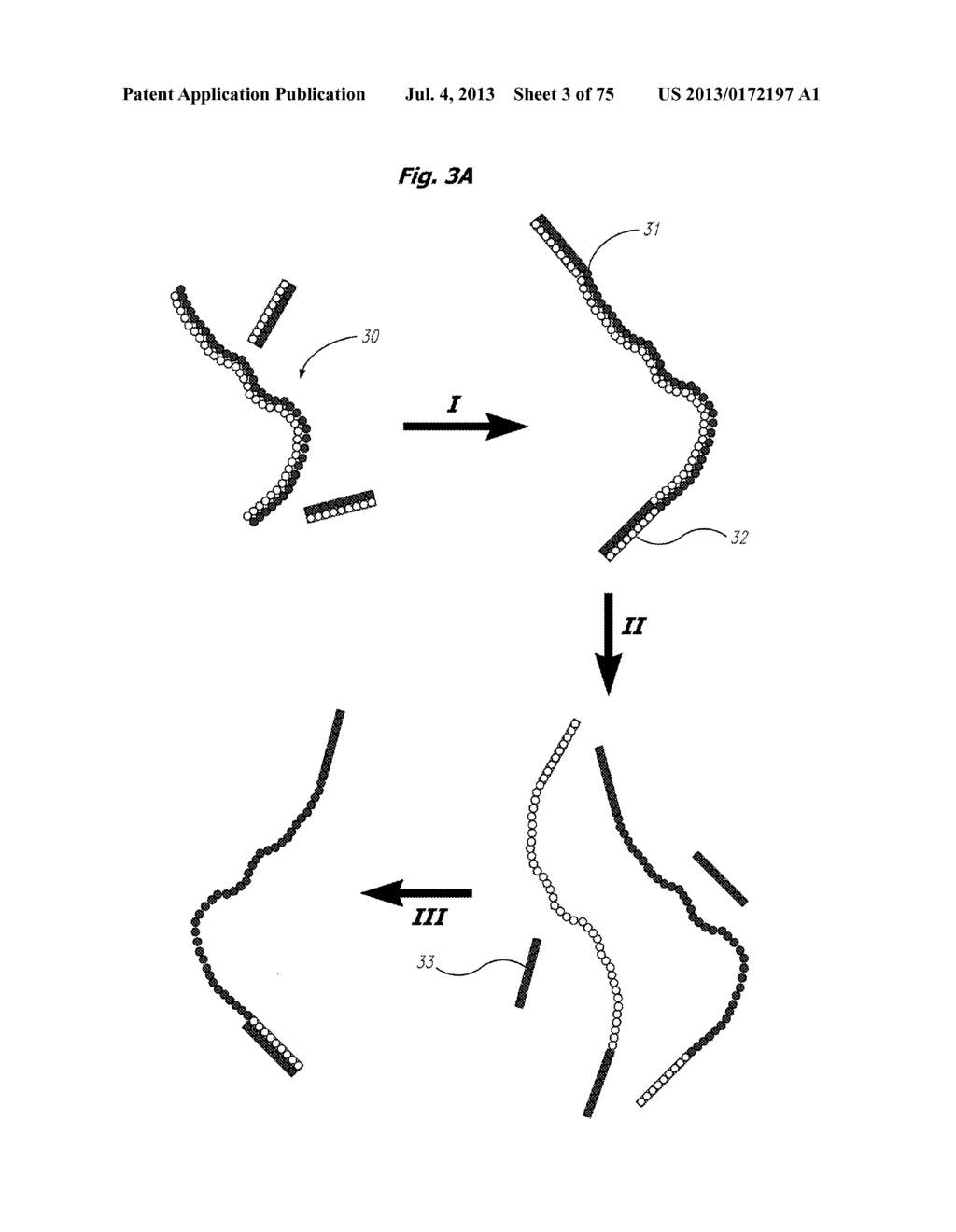 HIGH THROUGHPUT NUCLEIC ACID SEQUENCING BY EXPANSION - diagram, schematic, and image 04