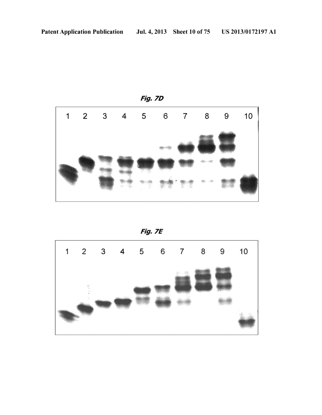 HIGH THROUGHPUT NUCLEIC ACID SEQUENCING BY EXPANSION - diagram, schematic, and image 11