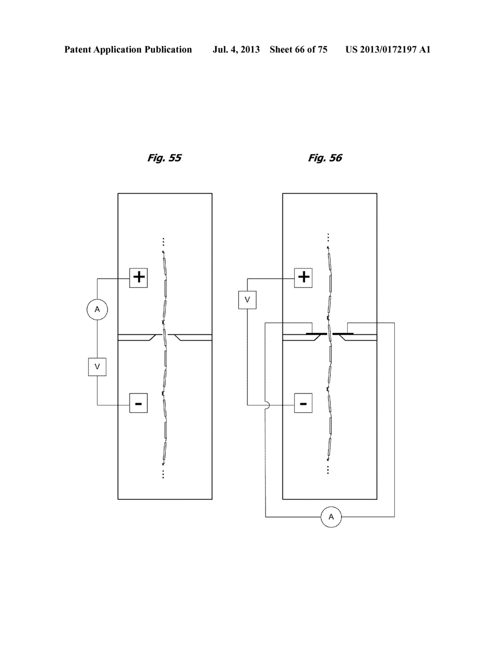 HIGH THROUGHPUT NUCLEIC ACID SEQUENCING BY EXPANSION - diagram, schematic, and image 67