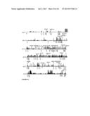 GENOME-WIDE DETECTION OF GENOMIC REARRANGEMENTS AND USE OF GENOMIC     REARRANGEMENTS TO DIAGNOSE GENETIC DISEASE diagram and image