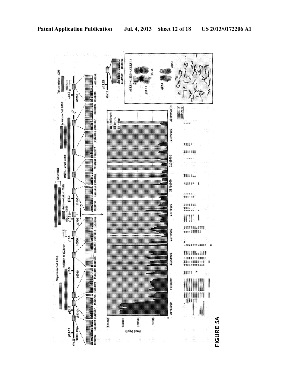 GENOME-WIDE DETECTION OF GENOMIC REARRANGEMENTS AND USE OF GENOMIC     REARRANGEMENTS TO DIAGNOSE GENETIC DISEASE - diagram, schematic, and image 13