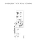 GENOME-WIDE DETECTION OF GENOMIC REARRANGEMENTS AND USE OF GENOMIC     REARRANGEMENTS TO DIAGNOSE GENETIC DISEASE diagram and image