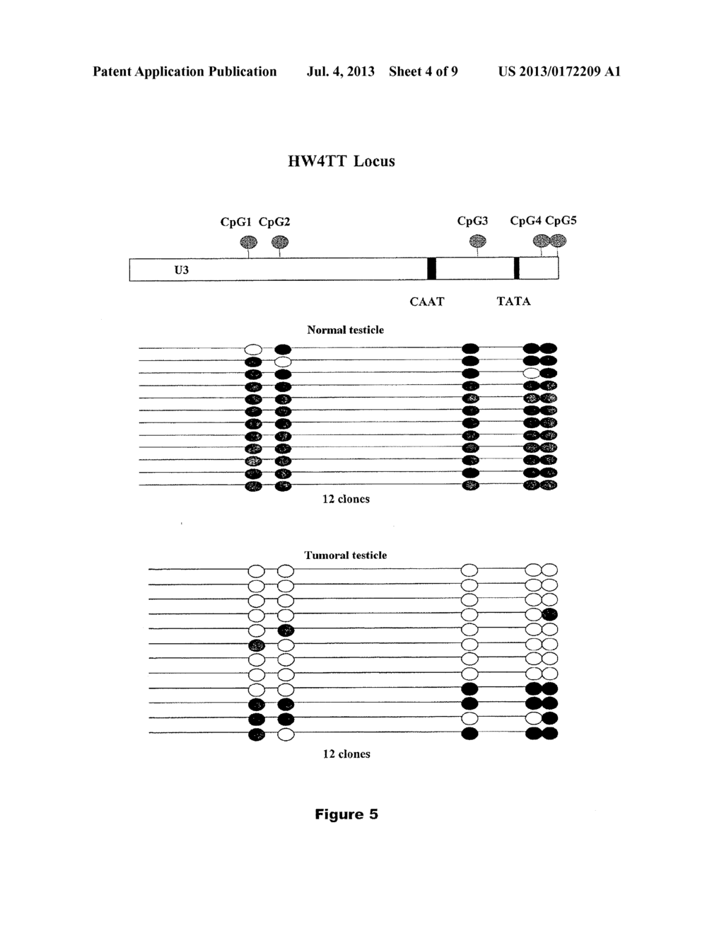 METHOD FOR IN VITRO DIAGNOSIS OR PROGNOSIS OF TESTICULAR CANCER - diagram, schematic, and image 05