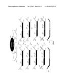 LIGATION-BASED DETECTION OF GENETIC VARIANTS diagram and image