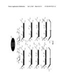 LIGATION-BASED DETECTION OF GENETIC VARIANTS diagram and image