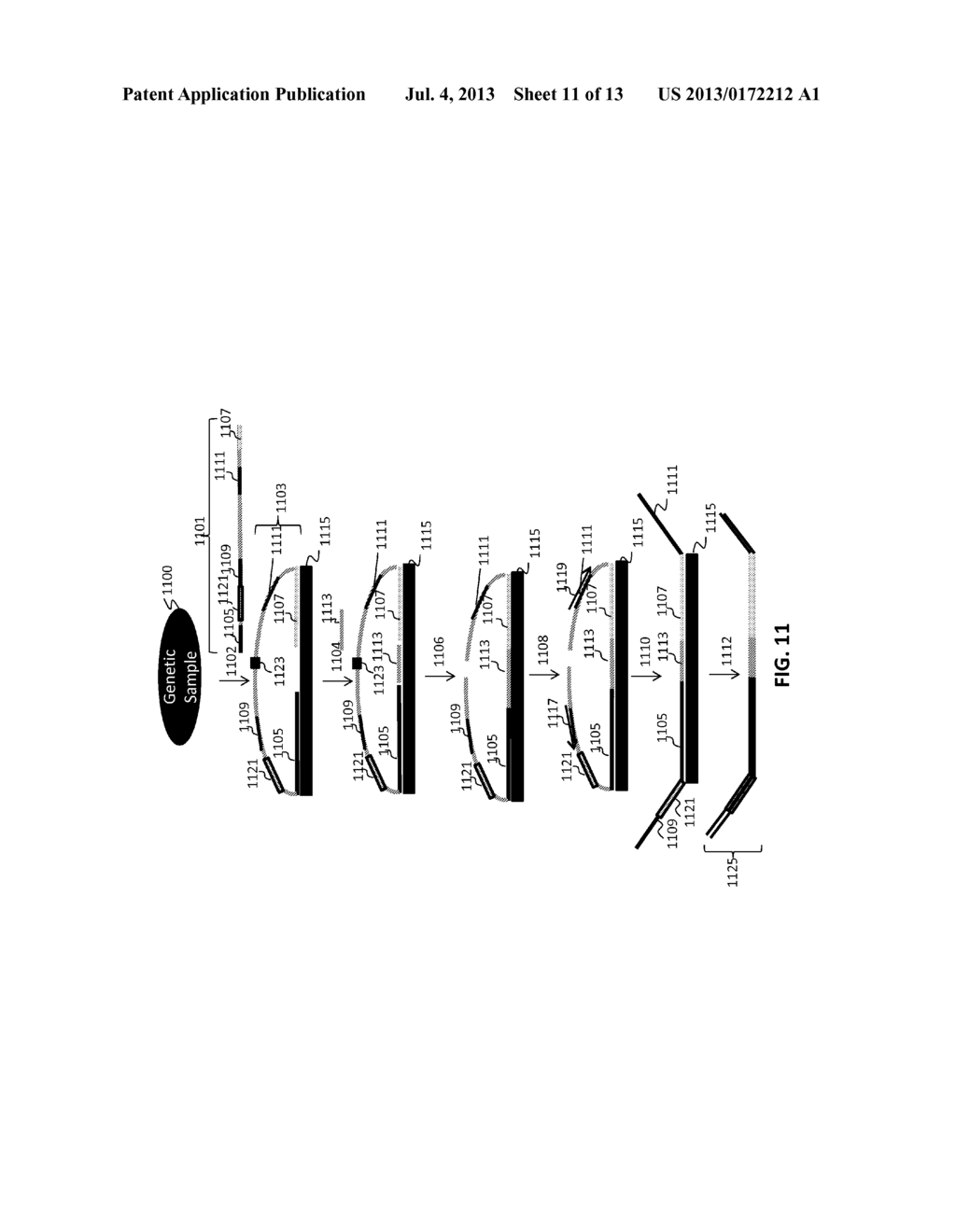 LIGATION-BASED DETECTION OF GENETIC VARIANTS - diagram, schematic, and image 12