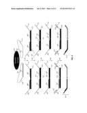 LIGATION-BASED DETECTION OF GENETIC VARIANTS diagram and image