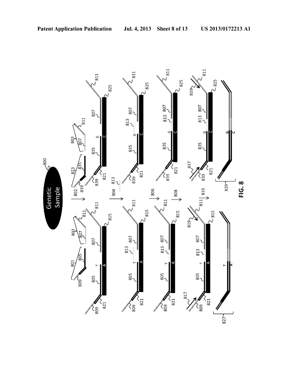 LIGATION-BASED DETECTION OF GENETIC VARIANTS - diagram, schematic, and image 09