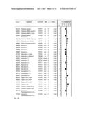 Treating Stroke and Other Diseases Without Inhibiting N-Type Calcium     Channels diagram and image