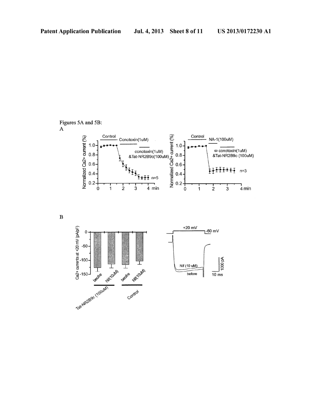 Treating Stroke and Other Diseases Without Inhibiting N-Type Calcium     Channels - diagram, schematic, and image 09