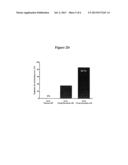 Methods for Treating Diabetes and Reducing Body Weight diagram and image