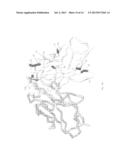 VH4 CODON SIGNATURE FOR MULTIPLE SCLEROSIS diagram and image