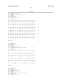 VH4 CODON SIGNATURE FOR MULTIPLE SCLEROSIS diagram and image