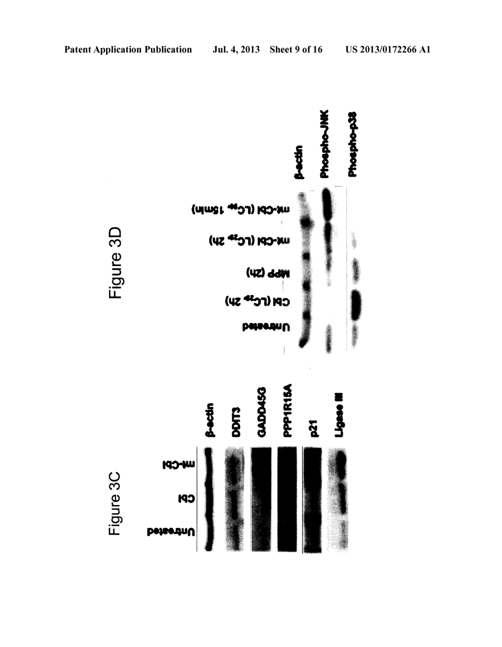 MITOCHONDRIAL PENETRATING PEPTIDES AS CARRIERS FOR ANTICANCER COMPOUNDS - diagram, schematic, and image 10