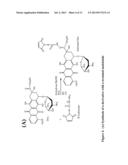 METHODS AND COMPOSITIONS FOR DELIVERING ACTIVE AGENTS WITH ENHANCED     PHARMACOLOGICAL PROPERTIES diagram and image