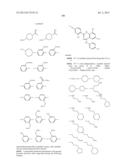 BENZAMIDES AND RELATED INHIBITORS OF FACTOR XA diagram and image