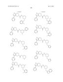 FUSED PYRAZOLE DERIVATIVES AS NOVEL ERK INHIBITORS diagram and image