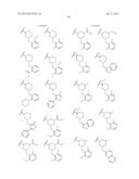 FUSED PYRAZOLE DERIVATIVES AS NOVEL ERK INHIBITORS diagram and image