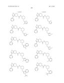 FUSED PYRAZOLE DERIVATIVES AS NOVEL ERK INHIBITORS diagram and image