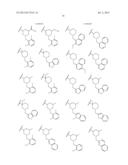 FUSED PYRAZOLE DERIVATIVES AS NOVEL ERK INHIBITORS diagram and image