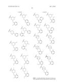 FUSED PYRAZOLE DERIVATIVES AS NOVEL ERK INHIBITORS diagram and image