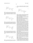 FUSED PYRAZOLE DERIVATIVES AS NOVEL ERK INHIBITORS diagram and image