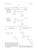 FUSED PYRAZOLE DERIVATIVES AS NOVEL ERK INHIBITORS diagram and image