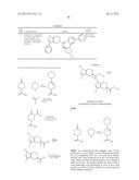 FUSED PYRAZOLE DERIVATIVES AS NOVEL ERK INHIBITORS diagram and image