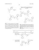 FUSED PYRAZOLE DERIVATIVES AS NOVEL ERK INHIBITORS diagram and image